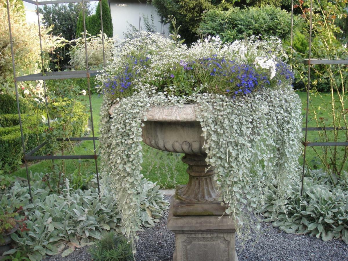 Charming And Cosy Apartment Near Lucerne Romerswil エクステリア 写真